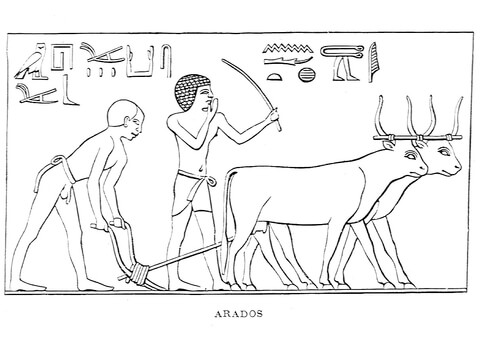 Ancient Egyptian Depiction Of Ploughs Coloring Page